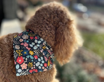 Spring and Summer Dog Bandanas