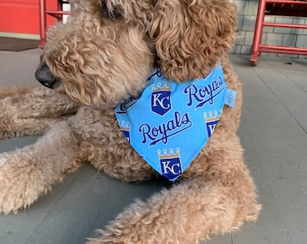 Puede incluir: Un perro marrón claro con un pañuelo azul con el texto "Royals" y un logotipo de corona. El pañuelo tiene un borde blanco.