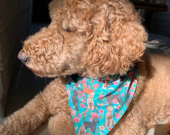 Golden doodle bandana