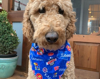 KU Dog bandana