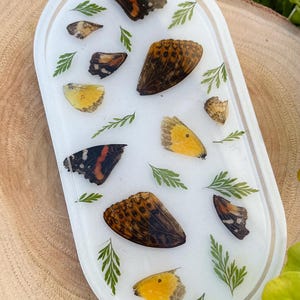 Butterfly Wing Trinket Dish/Jewelry Tray