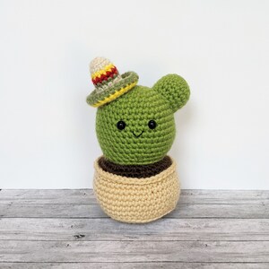 Crochet cactus plush with hat | Desk plant | Plant lover gift | Crochet succulent