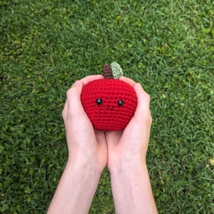 Apple crochet fruit plush, kawaii play food, Fall decor, teacher gift