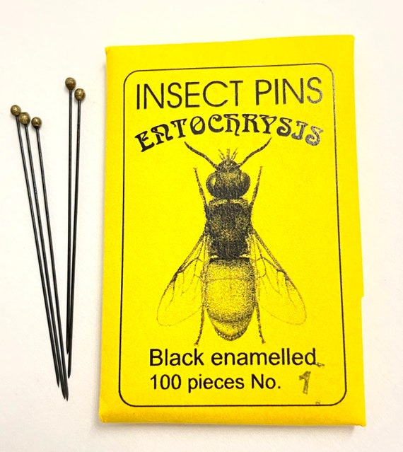 No. 1 Black Entomological Pins. Made in Czech. Insect Pins Etsy
