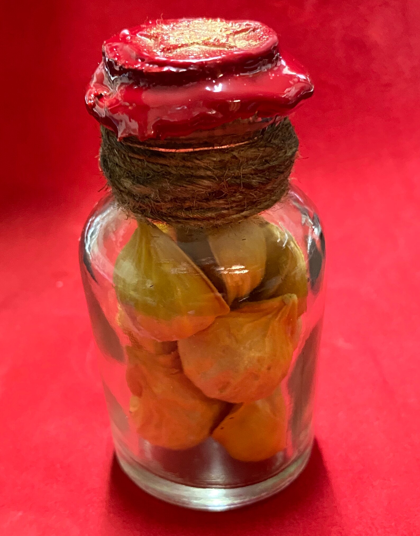 Giant Male Garlic Jar With 10 Garlic. Etsy