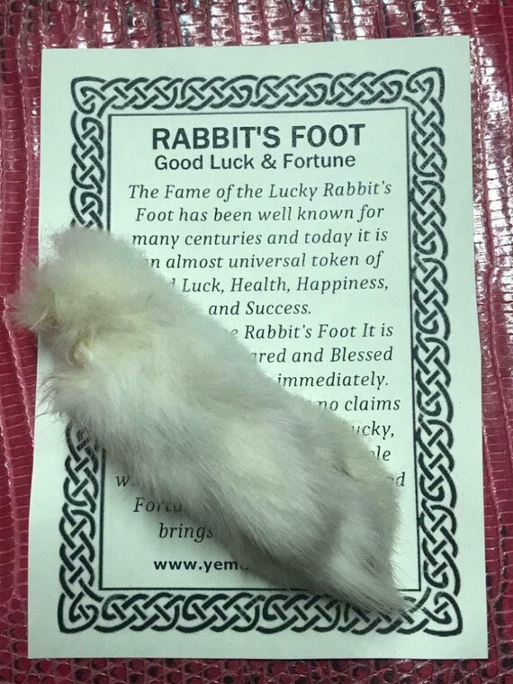 Genuine Lucky Rabbit Foot Etsy