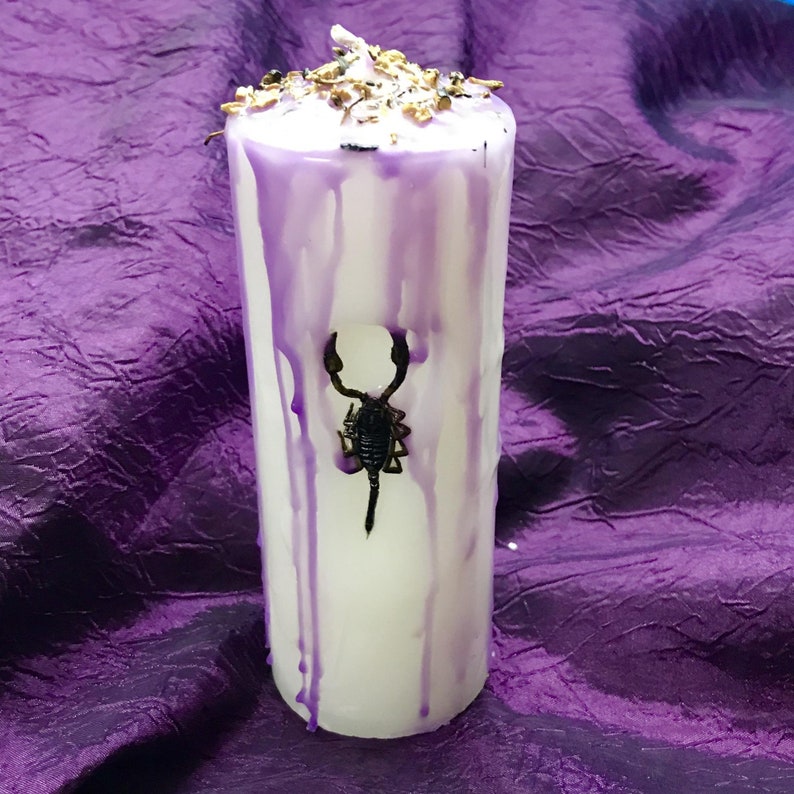 Altar Candle Ritual Candle Scorpion Candle Etsy
