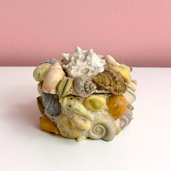 Ceramic Trinket Box with Shell Design - image 2