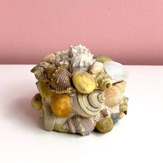 Ceramic Trinket Box with Shell Design - image 1