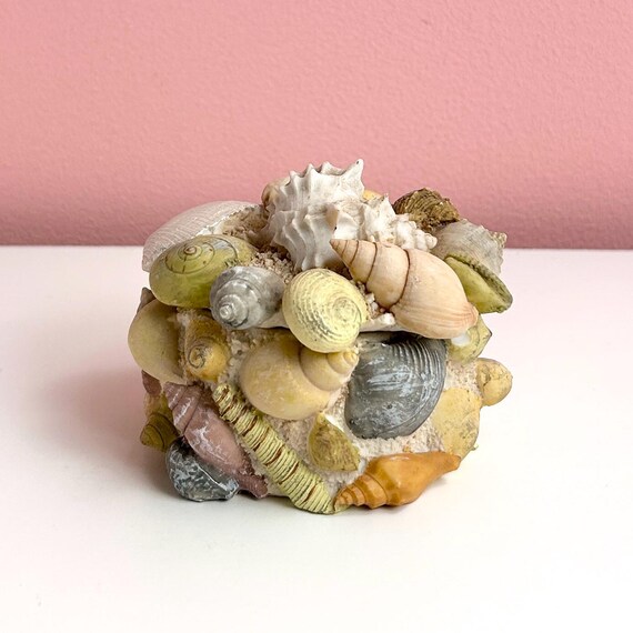 Ceramic Trinket Box with Shell Design - image 3