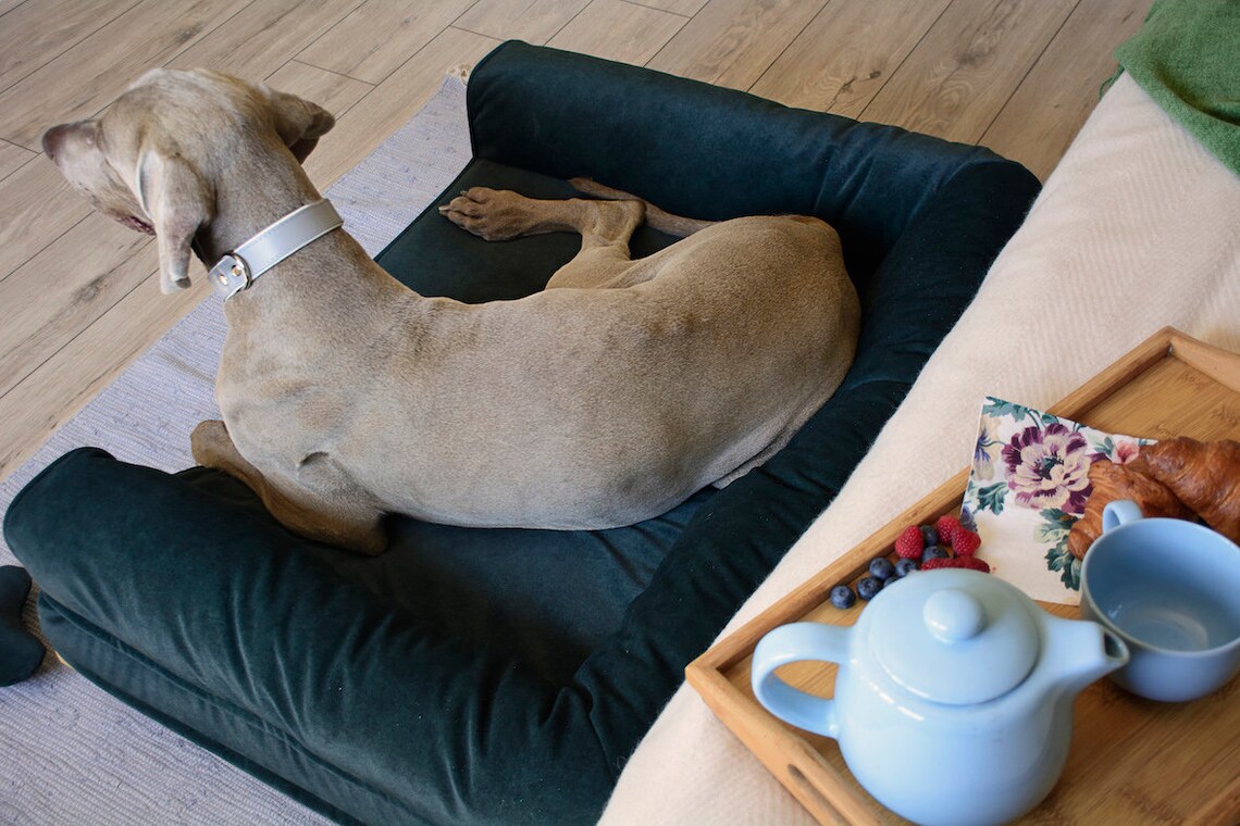 Luxury Premium Raised Washable Dog Sofa Bed Orthopaedic Etsy