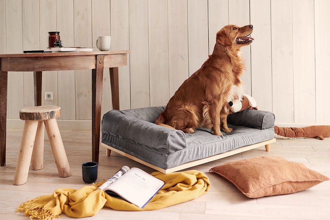 Orthopädische Luxus Premium Hund Sofa Bett Memory Foam Etsy