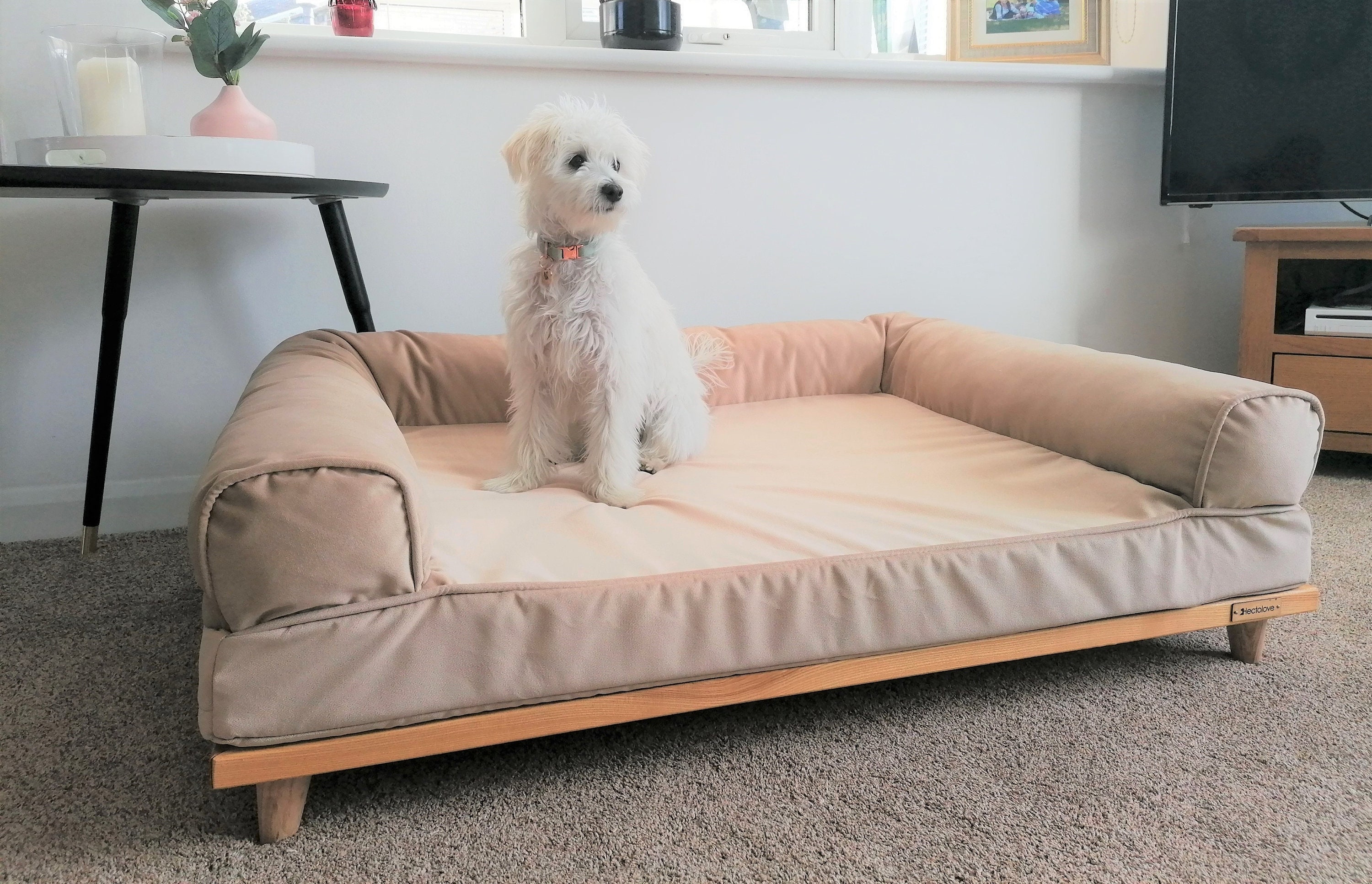 Luxury Premium Raised Washable Dog Sofa Bed Orthopaedic | Etsy
