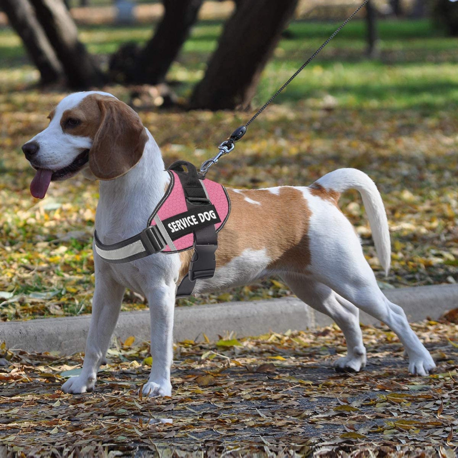Service Vest service vest for dogs adjustable pink service Etsy