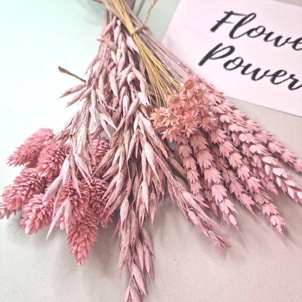 Dried Flowers Etsy UK