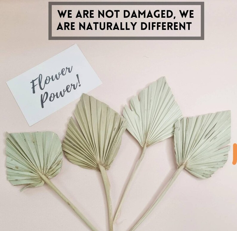 Gold and Cream Bakers Box Cake Decoration Kit Dried Flower Etsy