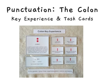 Punctuation: Colon Key Experience and Task Cards | Elementary Language | Montessori Mechanics