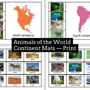 Tiere der Welt Kontinent Matten PRINT | Montessori Geographie | Vorschulaktivität | Passende Tiere | Druckbar