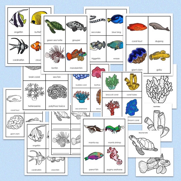 Coral Reef Animals | 3-Part Cards and Booklets | Coloring Pages | Montessori