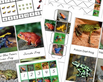 Pack d'activités Grenouilles | Montessori | Amphibiens | Zoologie