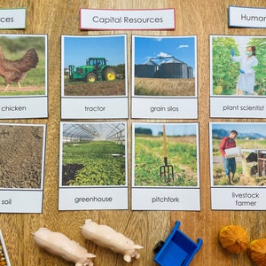 Recursos naturais, humanos e de capital em uma fazenda | Economia | Inspirado em Montessori