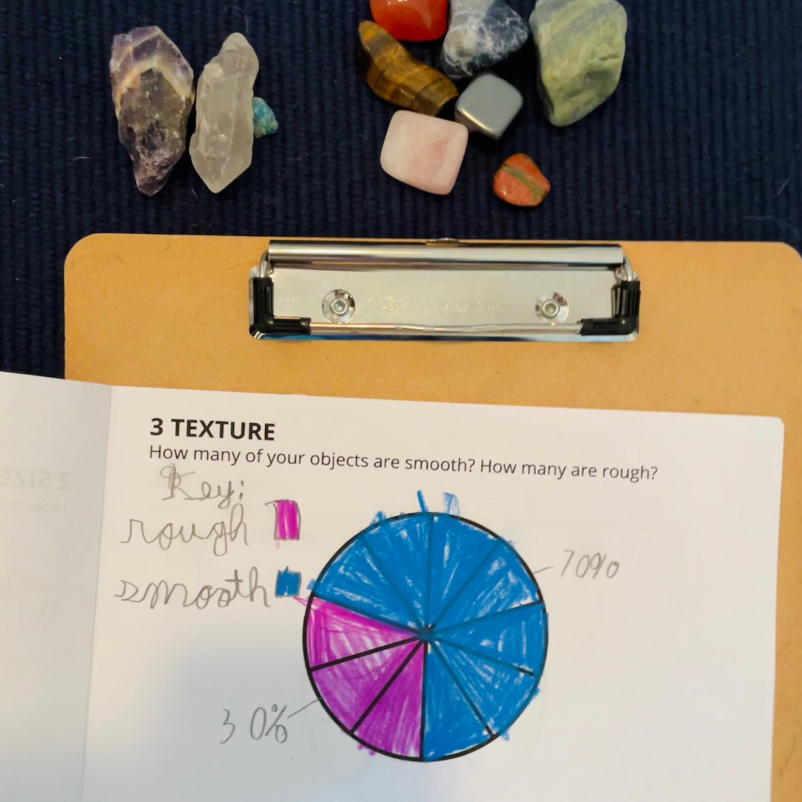 My Pie Chart Booklet: Sensorial & Scientific Explorations and Graphing ...