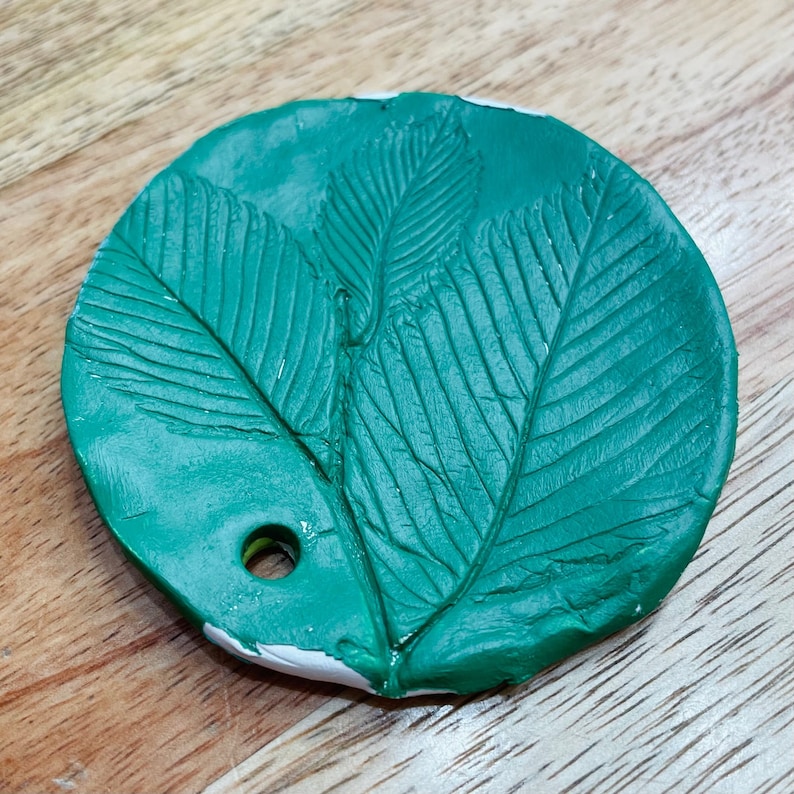 Botany Art Guide Montessori Leaves Flowers Etsy