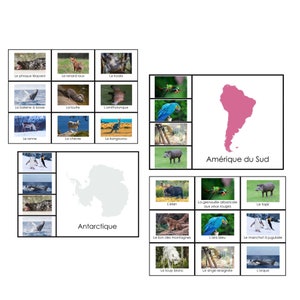 FRANZÖSISCHE VERSION Tiere der Kontinente Matten | Montessori Geographie | Vorschulaktivität | Passende Tiere | Druckbar