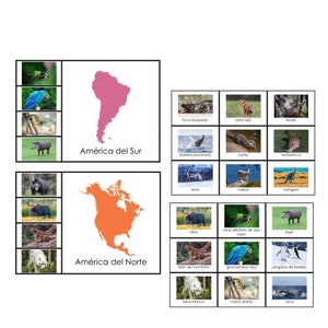SPANISH VERSION Tiere der Kontinente Matten | Montessori Geographie | Vorschulaktivität | Passende Tiere | Druckbar