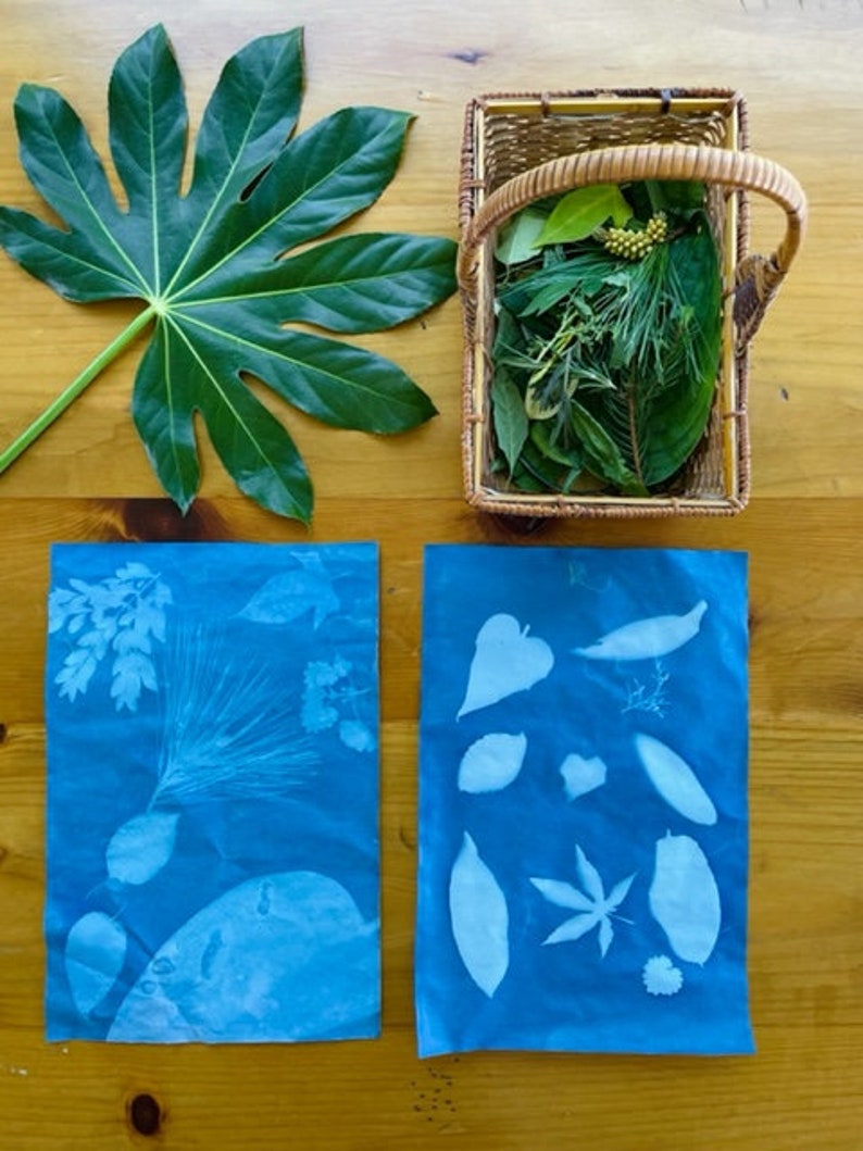 Botany Art Guide Montessori Leaves Flowers Etsy