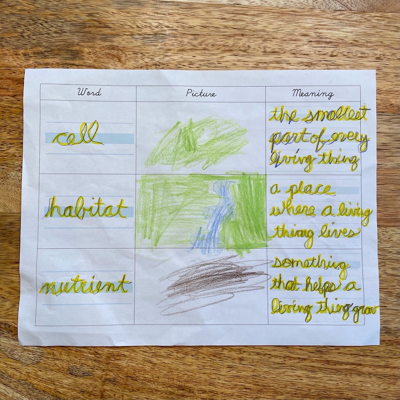 Wordpicturemeaning Vocabulary Templates Elementary Writing Etsy