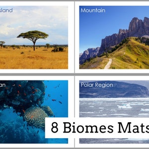 Biomes Mats - Print font | Digital Download