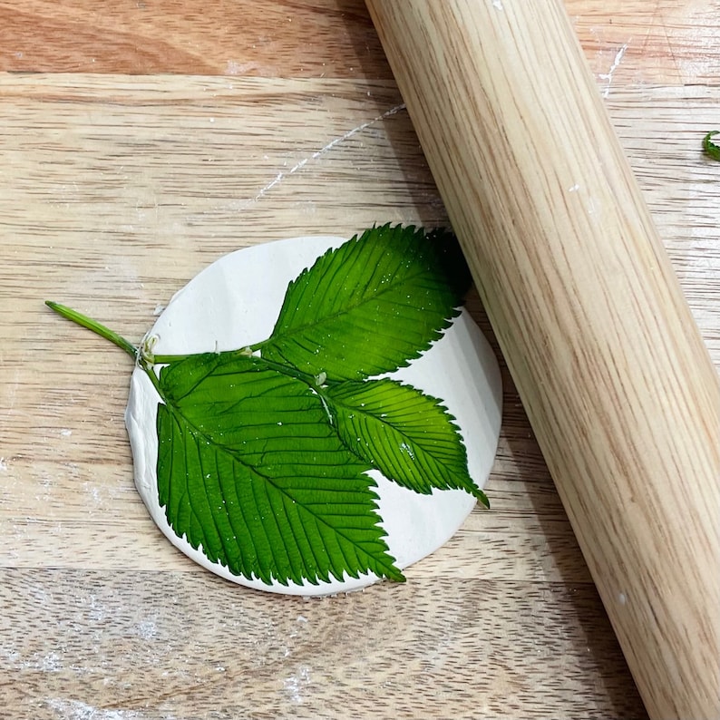 Botany Art Guide Montessori Leaves Flowers Etsy