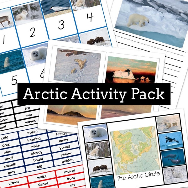 Arctic Activity Pack | Montessori | Preschool Activities | Bundle