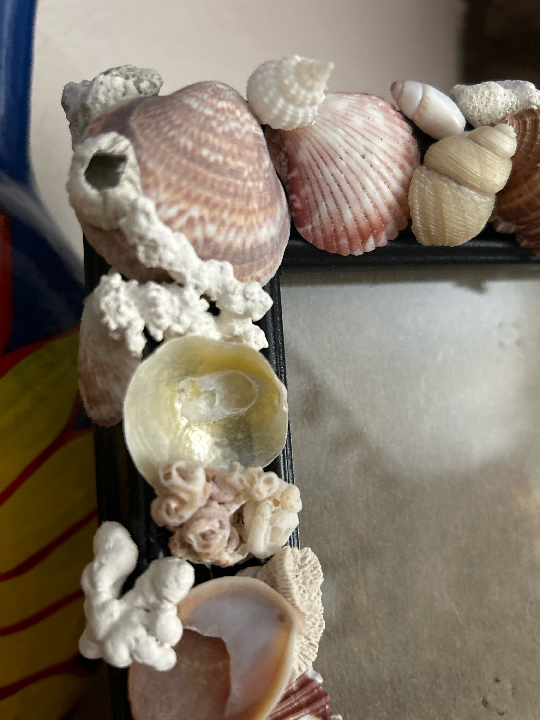 Sea Shell Frame. Upcycled Seashell Photo Frame. Unique Handmade Beach