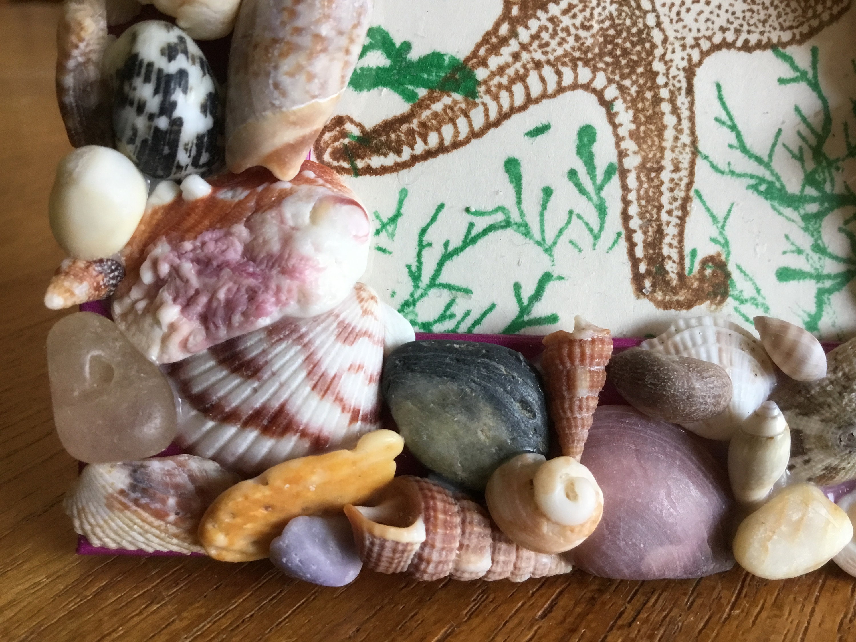 Sea Shell frame Etsy