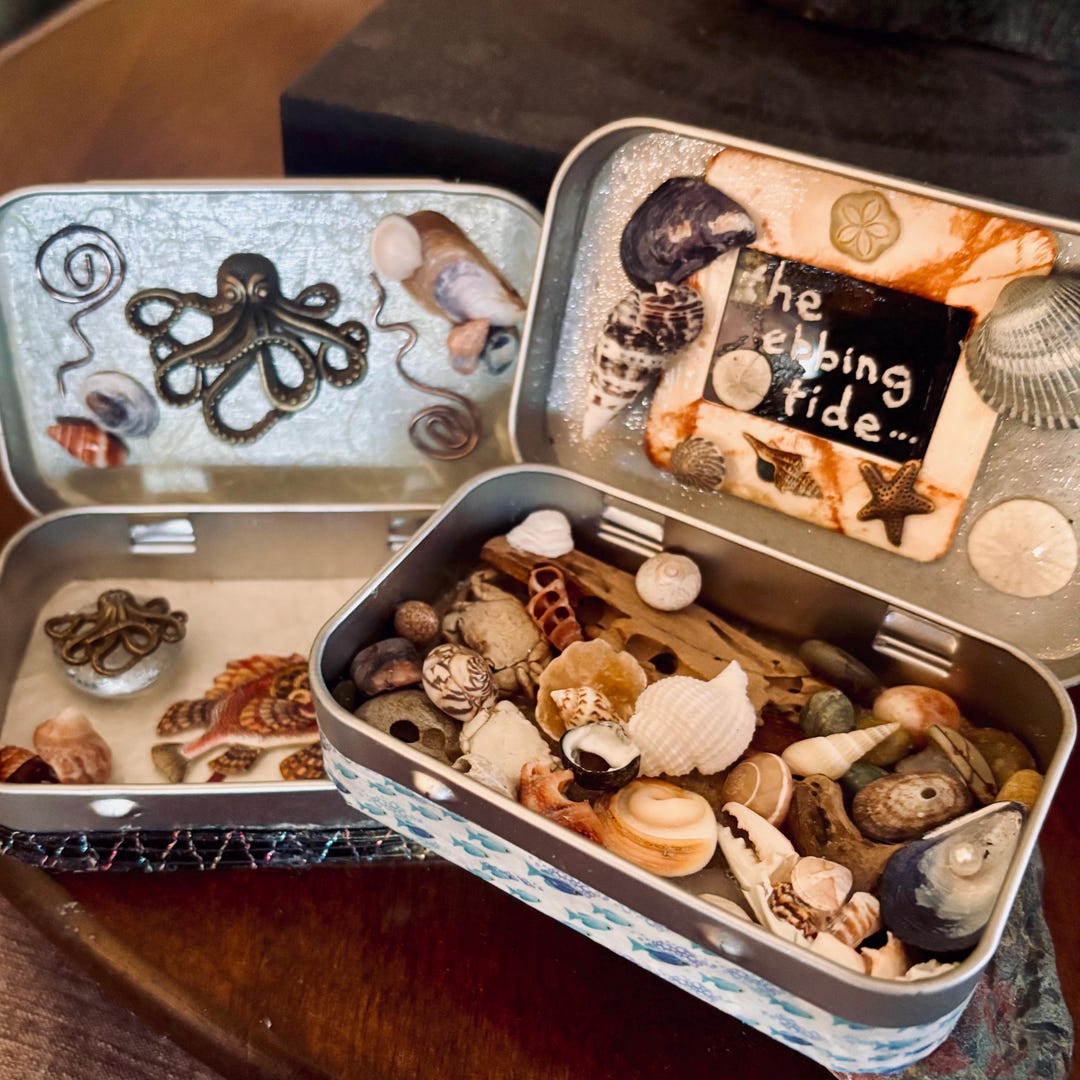 Octopus and Tidepool Art Tins With Shells, Sea Glass and Driftwood ...