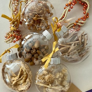 Sonoran Desert dried Seed Pod Ornaments, Natural Southwestern Decor