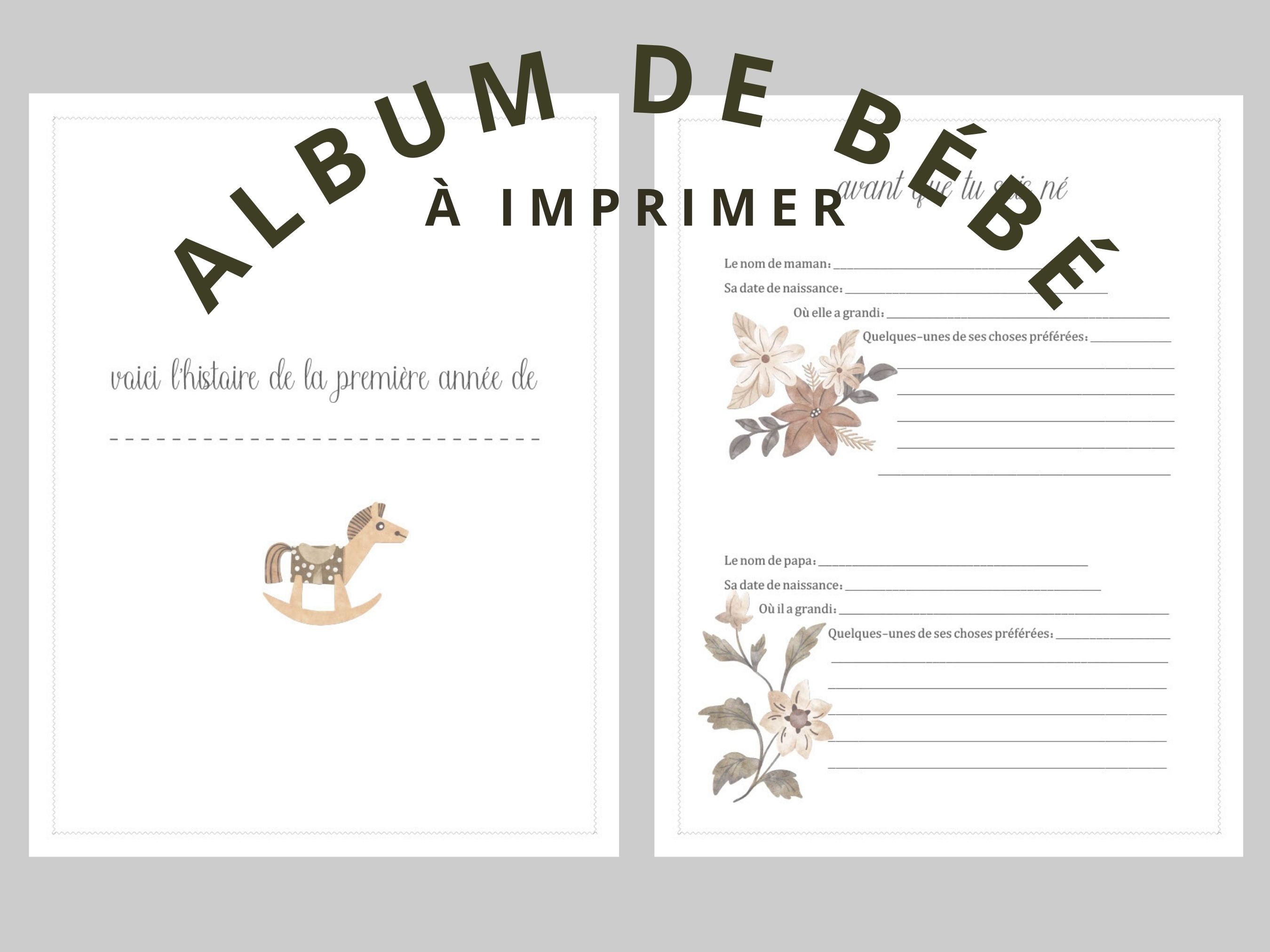 Album De Bébé Français Thème Vintage Oies, Album De Naissance, Album