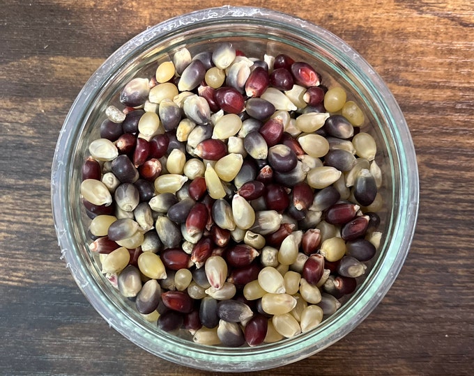 Red White & Blue American Popcorn Kernels
