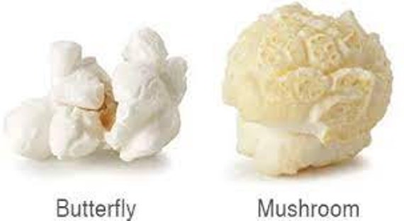 Best brand of mushroom popcorn