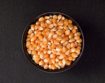 Popcorn Kernels, Globe Popcorn