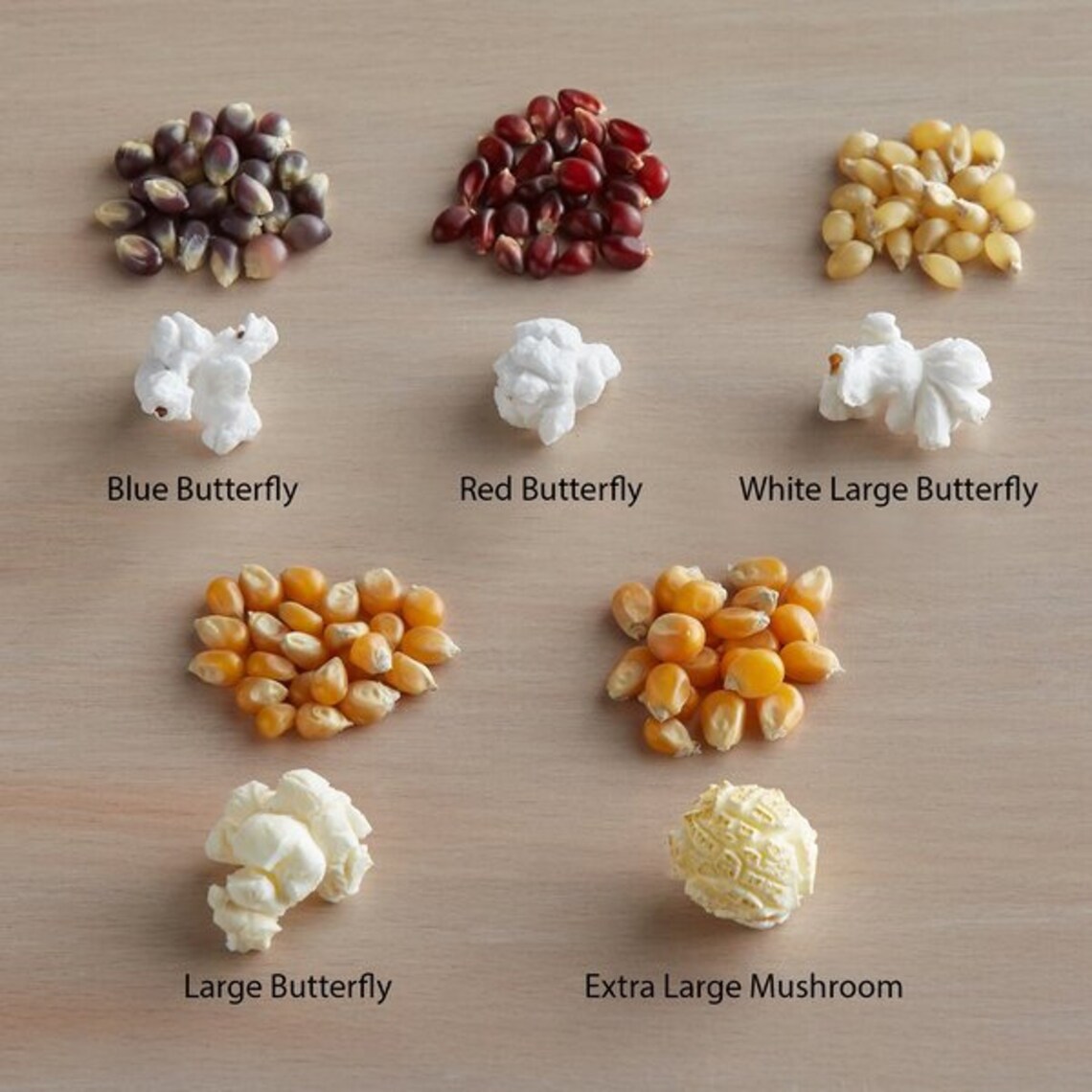 different colored popcorn kernels
