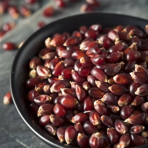 May include: A black bowl filled with red popcorn kernels. The kernels are close together and appear to be ready for popping.