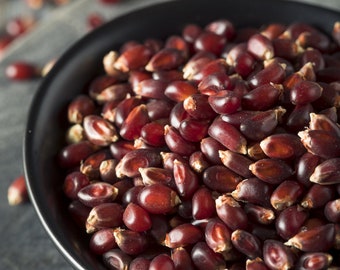 Ruby Red Popcorn Kernels, Premium Non-GMO Popcorn