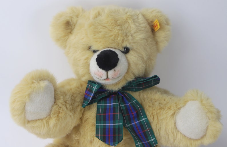 schwarz teddy bear