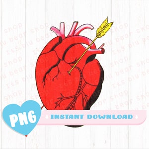 El Corazon PNG Mexican Loteria PNG Classic Card Perfect for DTG, Mexican Loteria Card 300dpi Png Only El Corazon Transperant background