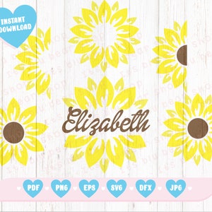 Paquete de girasol svg Girasol svg Clipart Girasol archivos de corte girasol png Floral svg Girasol boda svg Girasol monograma