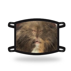 Guinea pig face mask