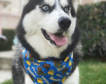 ucla dog sweater